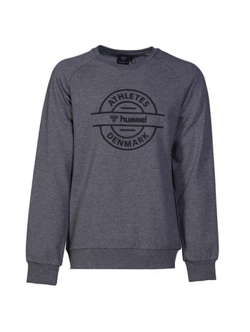 Sweatshirts - Men's clothing - Men
